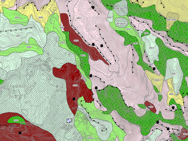 Cartografia tematica realizzata in ambiente GIS: carta delle microzone omogenee in prospettiva sismica georeferenziata